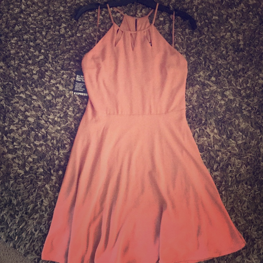 Express dress Size 6 Mauve- BNWT